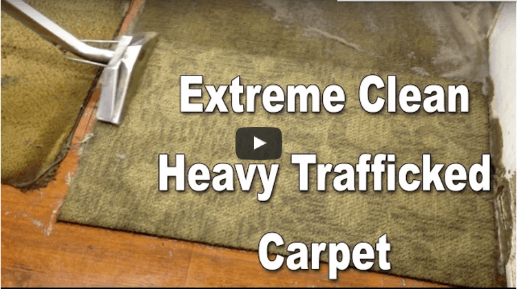 Extreme Clean for Heavily Soiled Carpet