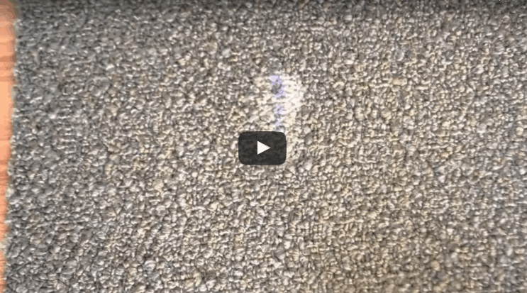 Remove Ink from Carpet