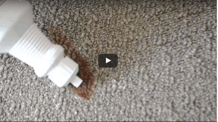 Remove Ketchup from Carpet