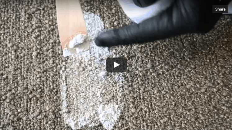Remove Latex Paint from Carpet