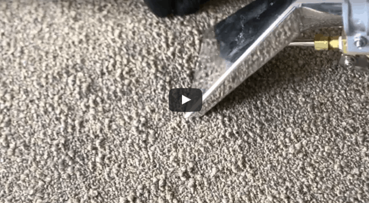 Remove Toner from Carpet