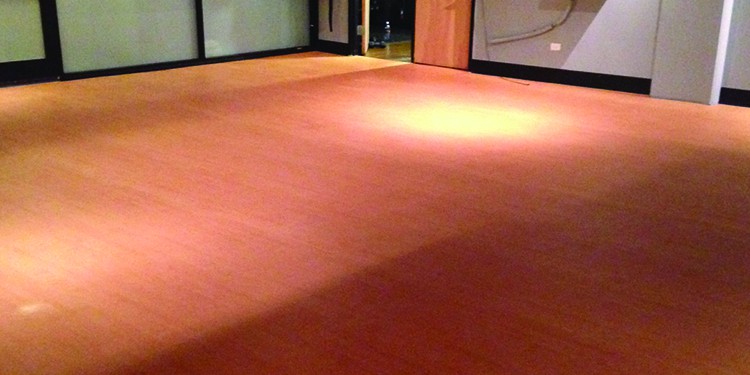 LVT Restorative Maintenance Case Study