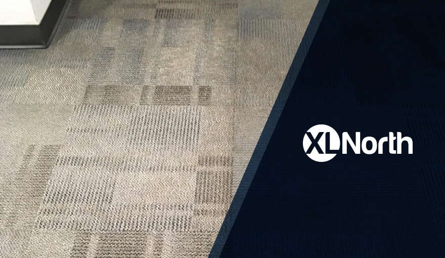 Carpet Restoration Demo Case Study