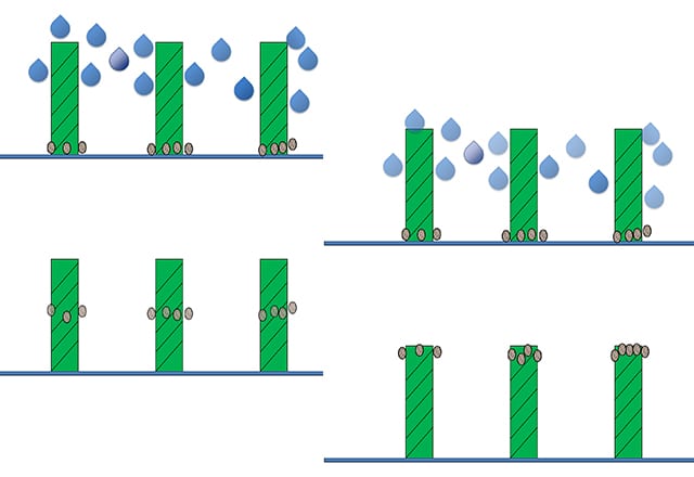 Common Causes of Reappearing Commercial Carpet Spots