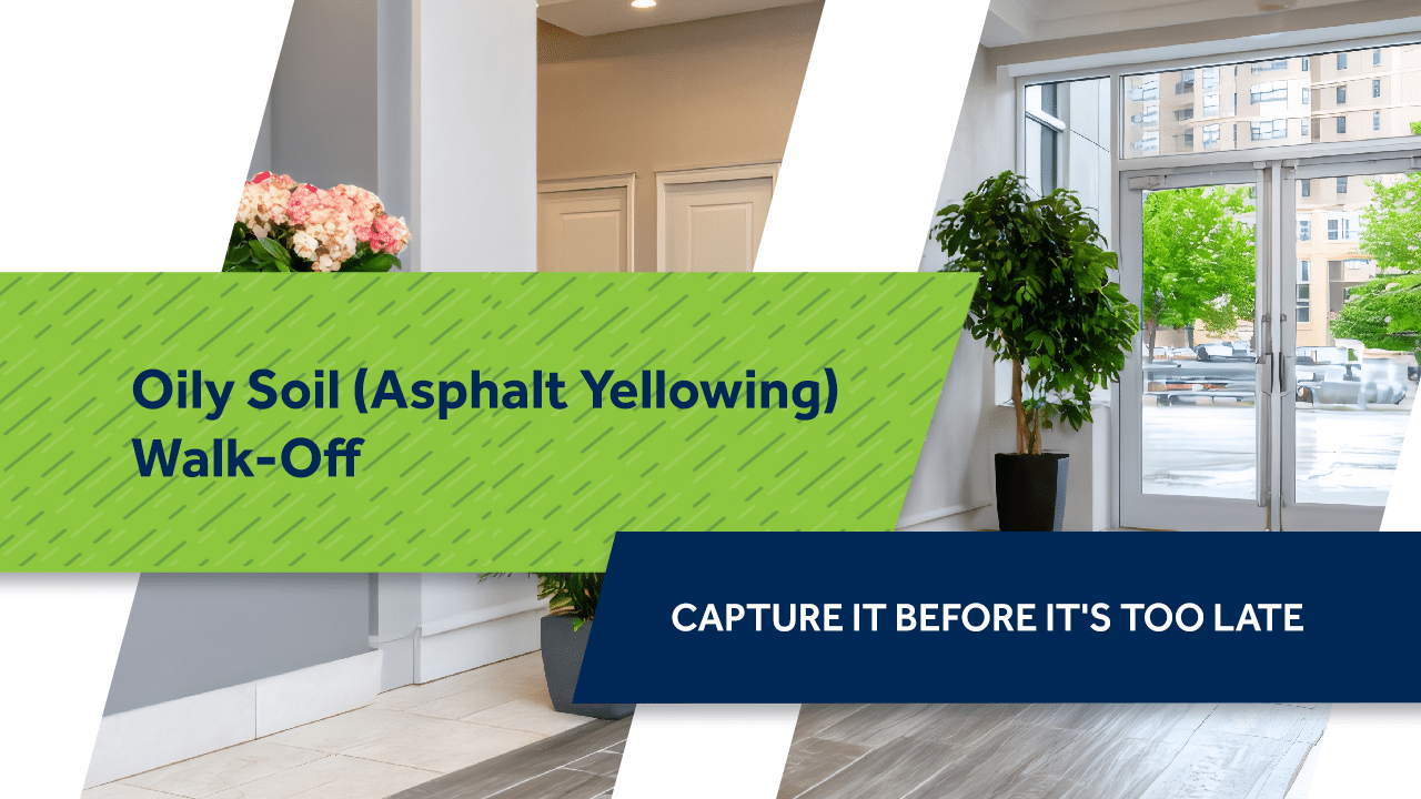 Oily Soil (Asphalt Yellowing) Walk-Off: Capture It Before It’s Too Late