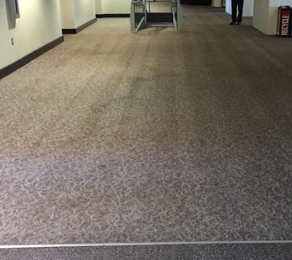floor preservation
