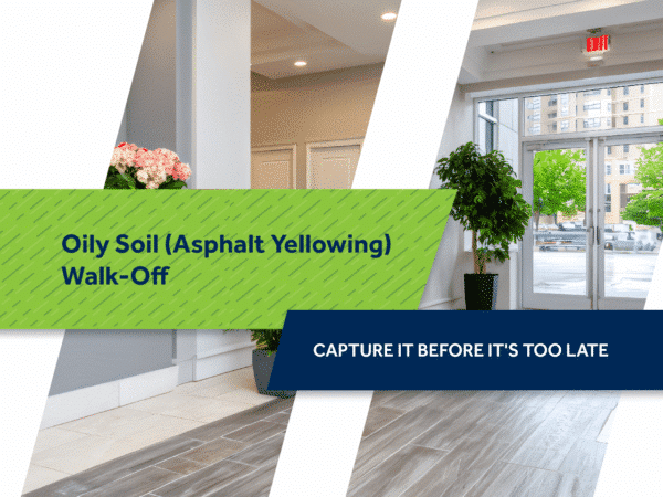 oily soil