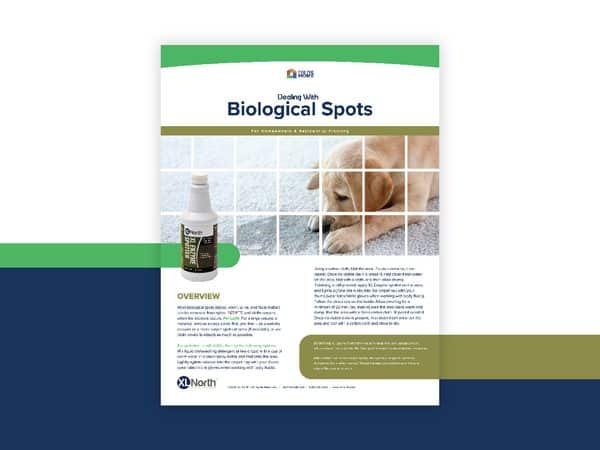 Biological Spots