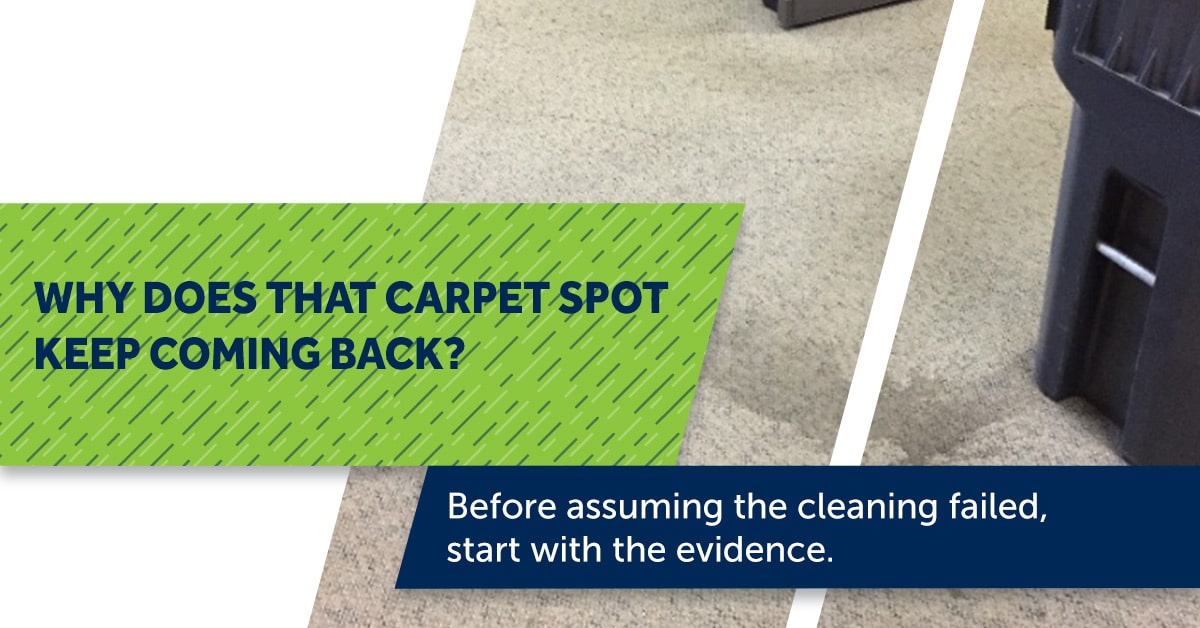 Why Does That Carpet Spot Keep Coming Back?